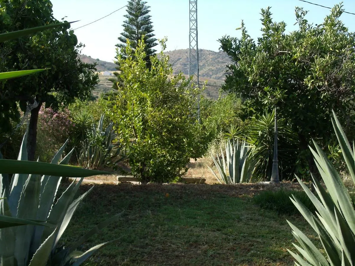 Country house La Finca Blanca Alora Spain
